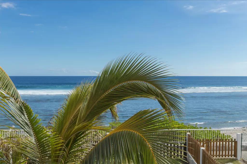 Le Petrel Blanc - Appartement Sur La Plage De La Souris Blanche Trois Bassins 外观 照片